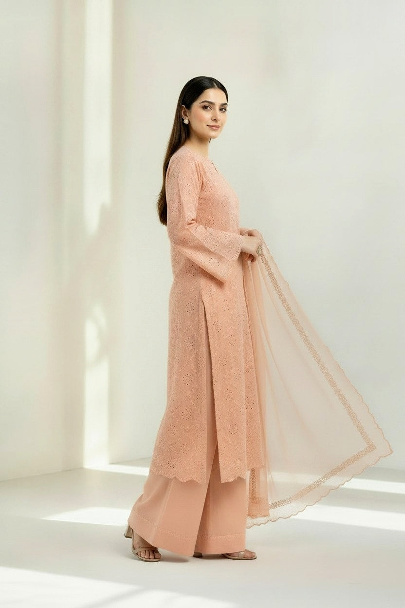 Chikan 3pc summer wear - immediate delivery